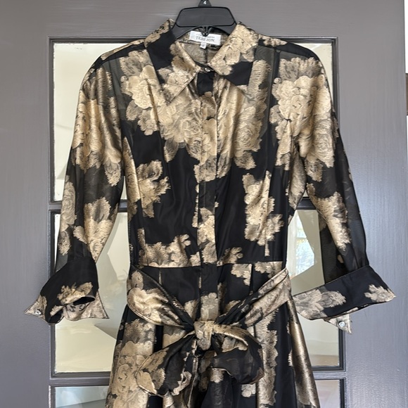 Terijon Dress size 10 - Picture 6 of 10